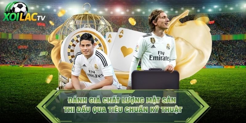 Đánh Giá Chất Lượng Mặt Sân Thi Đấu Qua Tiêu Chuẩn Kỹ Thuật