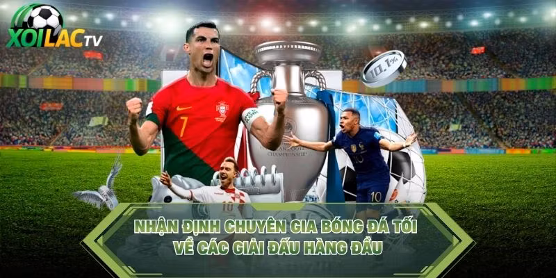 Nhận Định Chuyên Gia Bóng Đá Tối Về Các Giải Đấu Hàng Đầu