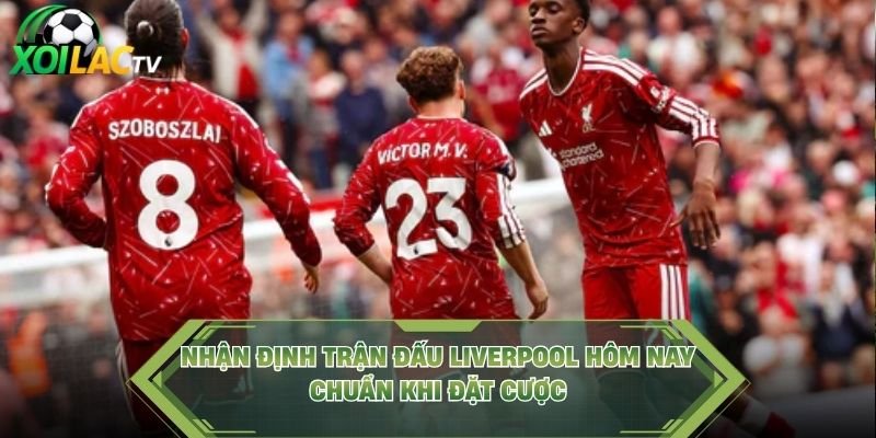 Nhận Định Trận Đấu Liverpool Hôm Nay Chuẩn Khi Đặt Cược