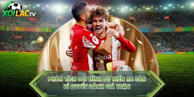 Phân Tích Đội Hình Dự Kiến Ra Sân – Bí Quyết Đánh Giá Trận
