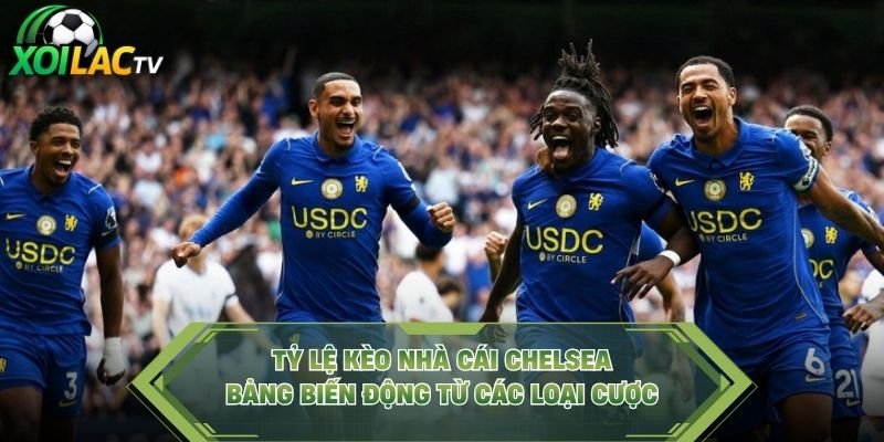 Tỷ Lệ Kèo Nhà Cái Chelsea – Bảng Biến Động Từ Các Loại Cược